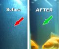 Aquarium Glass water cleaner Aqua guard aquarium fish medicine. 
