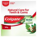 Colgate Herbal Toothpaste 100g. 