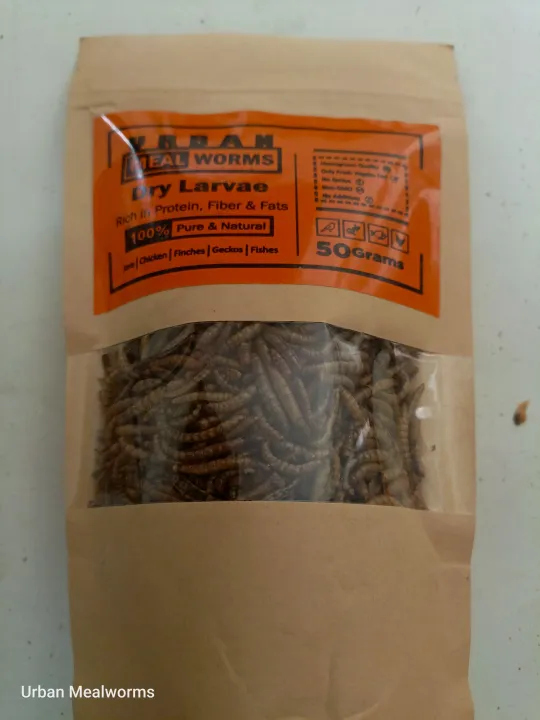 Dry%20Mealworms%20(Protein%20Bites%20Turmeric%20Coated%20For%20Your%20Birds)%20-%20Image%206