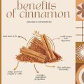 Ceylon Cinnamon Sticks | Sri Lankan Dalchini     Ceylon Cinnamon Sticks | Sri Lankan Dalchini. 