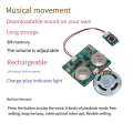 Recordable Sound Module Button Control Sound Chip 8M MP3 WAV Music Voice Player Programmable Board with Speaker for DIY Easy Install. 
