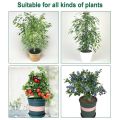 5 Packs Of Garden Plant Protection Nets with Rope, Tomato Protective Cover Garden Plant Isolation Bags for Vegetable. 