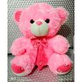 Teady Bear stuff toy (13 inches). 