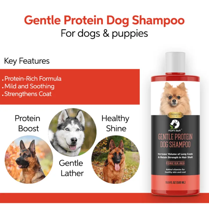 Fluff%20n%20BUff%20Gentle%20Protein%20Dog%20Shampoo%20-%20120ml%20-%20Image%202