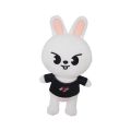 KPOP Stray Kids Skzoo Stuffed Toys Plush Doll Kids Girlfriend Gifts Toy Leeknow Hyunjin Home Decoration Children Gifts. 