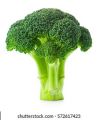 F-1 Hybrid Broccoli Seed for kitchen gardening. 