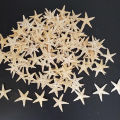 Sea shells size:0.5-3cm 100pcs Mini Starfish Craft Decoration Sea Stars
 ZH. 