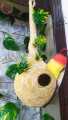 Beautiful Birds nest - handmade pet home bird house Size 12 inch - Small animals pets habitats cages breeding houses nesting outdoor feeders supplies parrots garden decorative. 