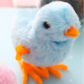 Funny Walking Chicken Chick, Toys For Kids. 