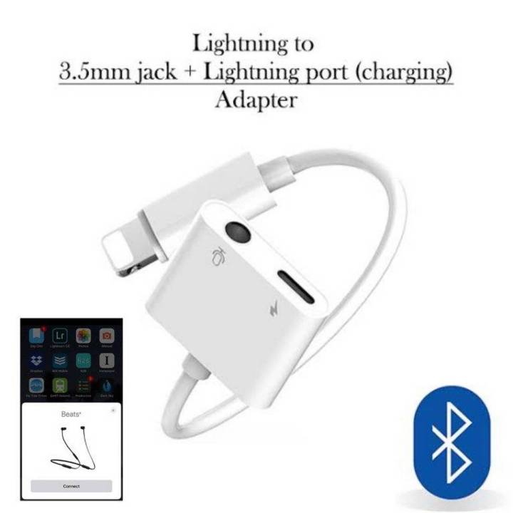 Lightning Port Apple No Charging Port Not Charging Iphone 13 No
