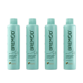 BreMod Sun Bright Series Oxidant Cream – Professional Hair Color Developer for Brilliant Results. 