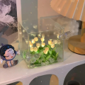 Transparent Packaging Tulip Night Light Compact Size Versatile Decor Handcrafted Handmade LED Light DIY Kit LED-illuminated Flower Knows Box for Living Room  Creative Gift Home Atmosphere Night-. 