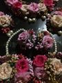 Bridal Artificial Flower Gajra Jewellery Set / Bracelets / Earing/ Ring / Tikka   For Mendhi, and Multi faction. 