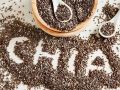 Tesco Chia Seeds 100G   Tesco Chia Seeds 100G  Tesco Chia Seeds 100G. 