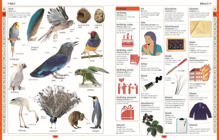 Children's%20Illustrated%20Dictionary%20(DK%20First%20Reference)%20Paperback%20-%20Image%206