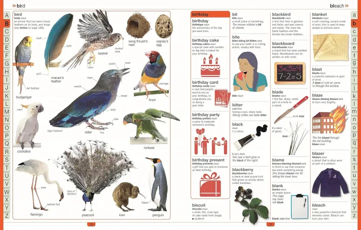 Children's%20Illustrated%20Dictionary%20(DK%20First%20Reference)%20Paperback%20-%20Image%206