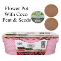 Best Indoor/Outdoor Stainless Steel Flower Pot With Coco Peat & Seeds For Your Garden. 