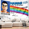 Mclovin Id Flag Driver License Flag Tapestry Wall Hanging Bedroom Carpet Bed Sheets Funny Dorm Room Wall Decor Tapestry. 