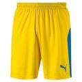 Imported Short For man Sports Shorts Gym shorts Yellow Color. 