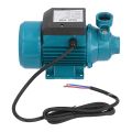 Water Transfer Pump,(15m 180W DC12V) Unipolar Impeller Motor Water Pump,Horizontal Single Suction Irrigation Tool,Mini Vortex Electric Water Pump,Water Supply in Farmland Irrigation,etc. 
