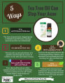 Tea Tree Oil Organic Australian Essential oil in Pakistan. 