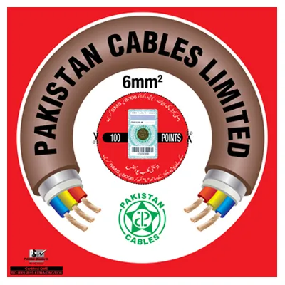 PAKISTAN%20CABLES%20%207/44%20(6mm%C2%B2)%20Pure%20Copper%20Wire%20-%20Image%202