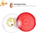 HHD 30 Eggs Incubator with Automatic Egg Turning and Humidity Control, Poultry Hatcher with Digital Display for Chicken, Duck, Goose, Quail Eggs. 
