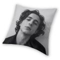 Timothee Chalamet Square Pillow Case Home Decor 90s TV Actor Cushions Throw Pillow for Living Room Double-sided Printing. 