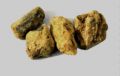 Raal Safaid 100gm - Sal Tree - 100% Original, Fresh and Pure Ral Safaed 50 grams by Herbisol. 