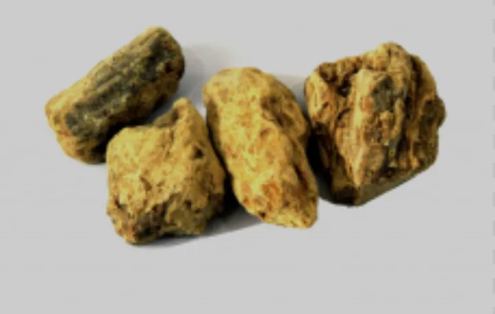 Raal%20Safaid%20100gm%20-%20Sal%20Tree%20-%20100%25%20Original,%20Fresh%20and%20Pure%20Ral%20Safaed%2050%20grams%20by%20Herbisol%20-%20Image%204