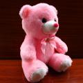 【Simple 3C】Ambiled Plush Teddy Bear Toy with Luminous LED Lights for Children's Gifts. 