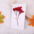 Dry Flower Greeting Card Handmade Wish Card Message Cards Love Card For Wedding Birthday Valentine's Day. 