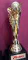 Football Championship Trophies brass metal full size with customized name & logos. 
