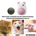 Cat Face Catnip Wall Mint Ball For Cat Interactive Toys Edible Lollipop Balls Snack Healthy Rotatable Funny Cat Treats Kitten Toy PS335 PS-GR. 