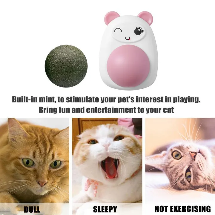 Cat%20Face%20Catnip%20Wall%20Mint%20Ball%20For%20Cat%20Interactive%20Toys%20Edible%20Lollipop%20Balls%20Snack%20Healthy%20Rotatable%20Funny%20Cat%20Treats%20Kitten%20Toy%20PS335%20PS-GR%20-%20Image%208