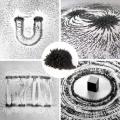 Iron filling, Iron Sand, Iron Powder For Science Education & Kids Toy 70G. 