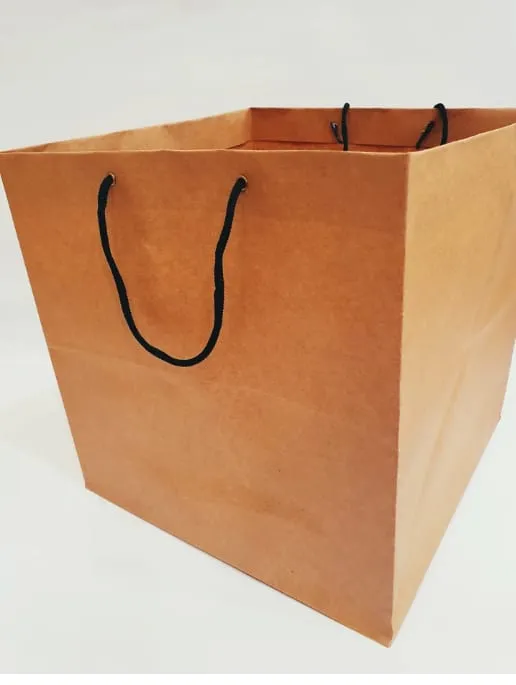 CAKE%20BAGS%20/PAPER%20BAGS%2013%20X%2013%20(PACK%20OF%201O)%20-%20Image%203