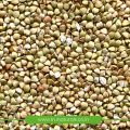Buckwheat Seeds Kuttu Seeds | Kuttu Giri | Buckwheat Seeds for Fasting | Hulled Buckwheat Groats | Buckwheat Gluten Free Organic 500 gram. 