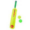 Premium Sports Cricket Bat Cricket Ball with Wicket Set for Kids 500 Gram Yellow. 