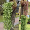 Artificial Plant Home Garden Wedding Decor Garden Wall Party Decoration Hanging Ivy Leaves Artificial Silk Flower Vine Artificial Green Plants. 