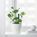 Plant Watering Sensor Ikea. 