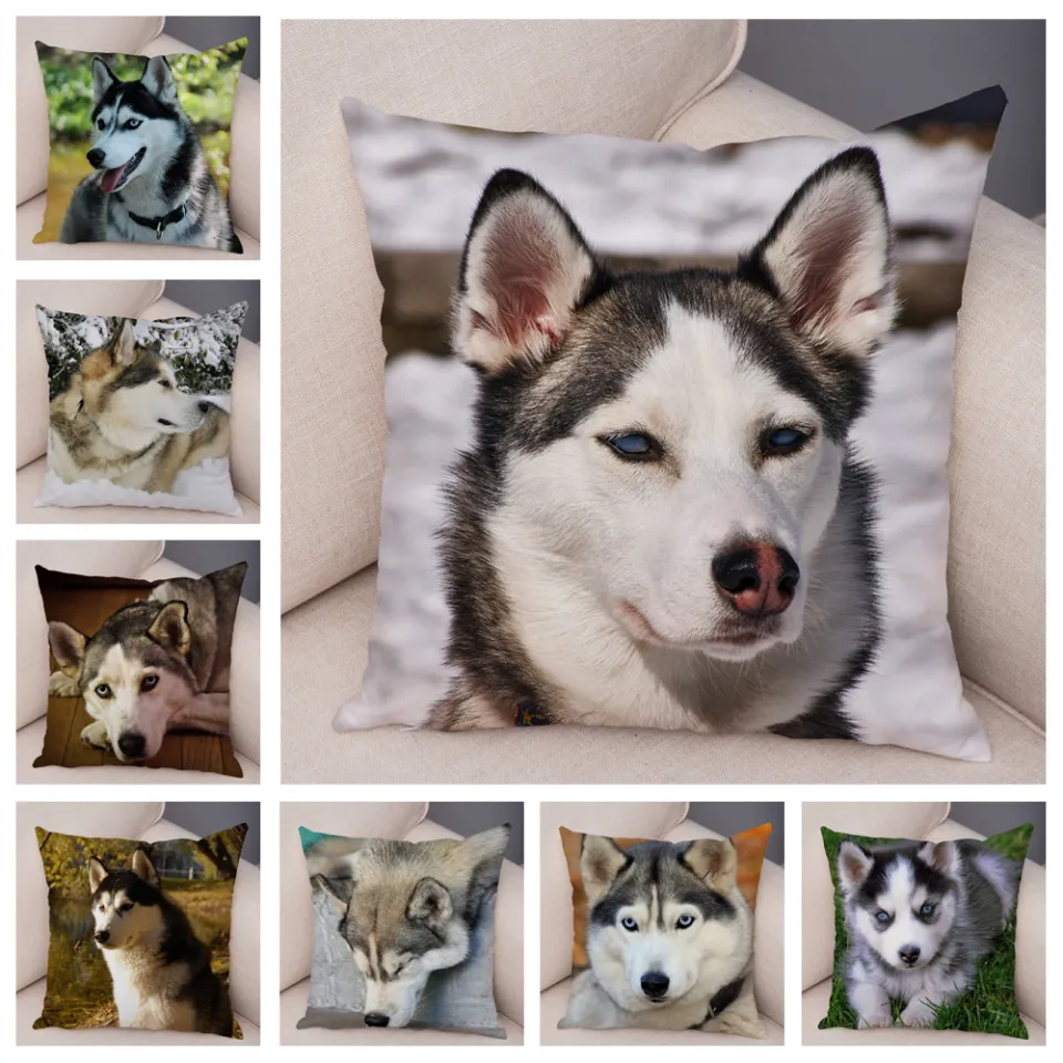 Super Soft Short Plush Siberian Husky Dog Pillow Case Covers Decor Pet Animal Cushion Cover for Sofa Home Pillowcase 45 45cm Daraz.pk