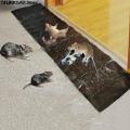 Invisible And Transparent Rat Killing Magic Carpet Rodents Moles Trap Rat Mice Trap Clear Invisible Mouse Glue Trap 120 x 28cm. 