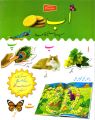 Liberty Books | Alif Bay Biscuit - Mera Sticker Qaida by Jbd Press (100% Original). 