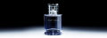 SAUVAGE IMPRESSION Perfume for Men - 100ml | Long-Lasting Fragrance | Perfect Gift. 