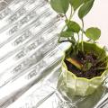 1Pcs Garden Wall Mylar Film Covering Sheet Hydroponic Highly Reflective 82x47inch. 