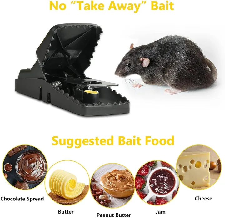Rat%20Trap%20Big%20Size%20Mouse%20Trap%201%20PC%20-%20Image%204
