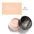 Focallure FA-58 Full Coverage Concealer. 