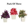 3 pc artificial plant for decoration in home - office - school - college. 