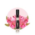 Florse Perfume | Our Best Floral Fragrance | Women's Top Choice Perfume | Scents N Stories | 5ml. 